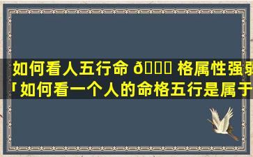 如何看人五行命 🐘 格属性强弱「如何看一个人的命格五行是属于什么」